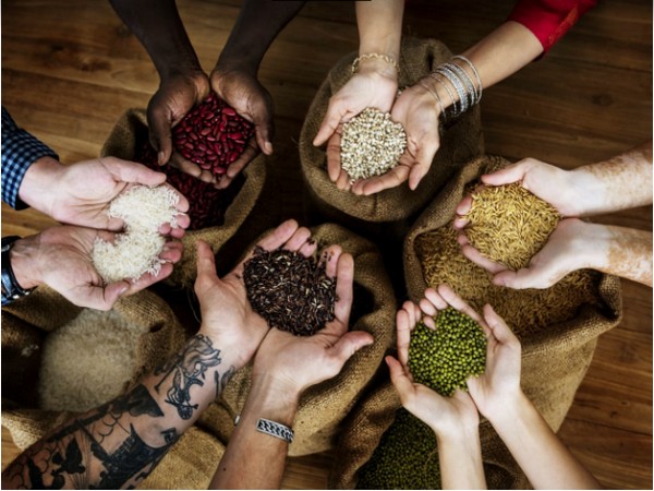 Farm India Organic makes a whole range of healthy organic