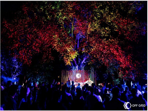 'Off-Grid' rises to success