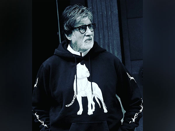 Amitabh Bachchan (Image source: Instagram)