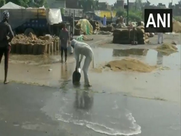 The condition of the Mandi after early morning rain in Amritsar (Photo:ANI/Twiiter)