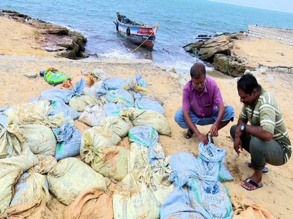 Customs officials seize 800 kg Sea Cucumber from a boat in Rameshwaram. Photo/ANI