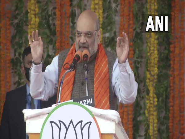 Union Home Minister Amit Shah (Photo/ ANI)