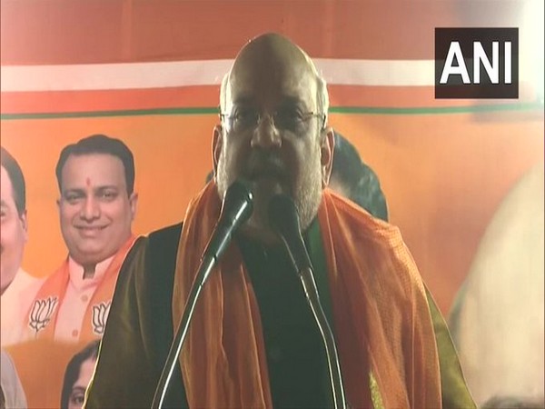 Union Home Minister Amit Shah addressing a gathering in Trilokpuri ahead of polls in Delhi. Photo/ANI
