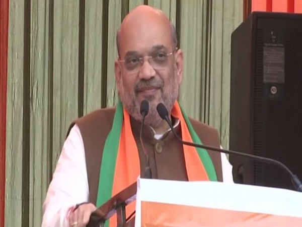Home Minister Amit Shah addressing a rally in Delhi Cant on Tuesday. Photo/ANI