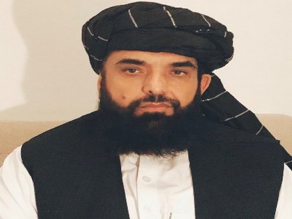 Qatar-based spokesperson of Taliban Suhail Shaheen (Photo Credit: Twitter)