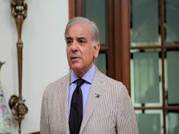 PML-N leader Shehbaz Sharif (File pic)
