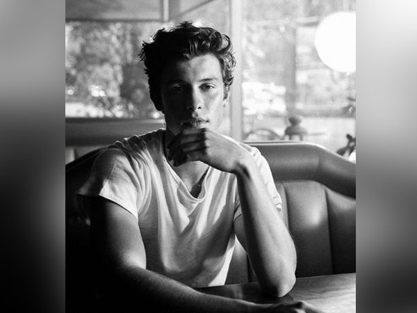 Shawn Mendes, Image courtesy: Instagram