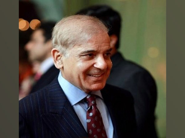 Pakistani Prime Minister Shehbaz Sharif (File Image)