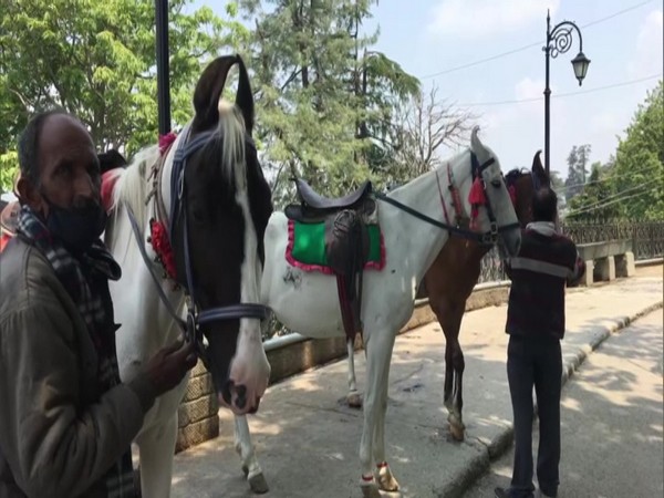 Visual of horsemen with their horses. (Photo/ANI)