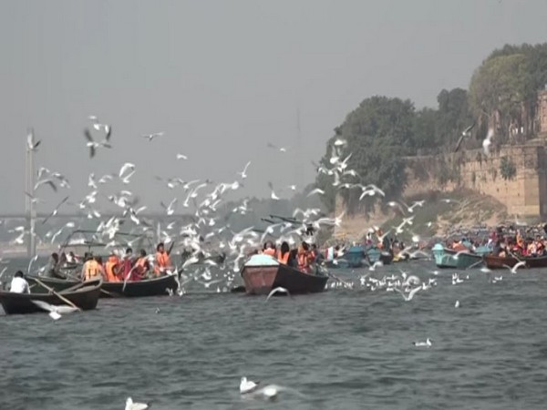 Siberian birds at Prayagraj (Photo/ANI)