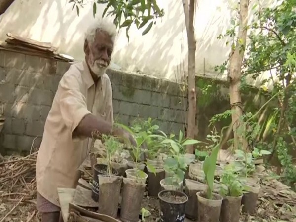 Revanna Siddappa sells medicinal saplings on the roadside in Bengaluru. [Photo/ANI]