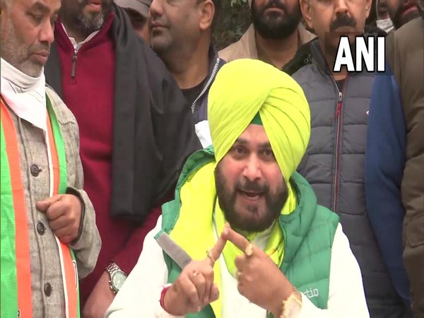 Punjab Congress Chief Navjot Singh Sidhu (Photo/ANI)