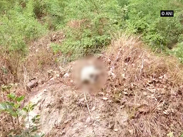 Skeletons left abandoned outside SKMCH