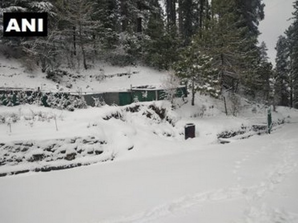 A view after Narkanda town in Shimla receives fresh snowfall on Saturday. Photo/ANI