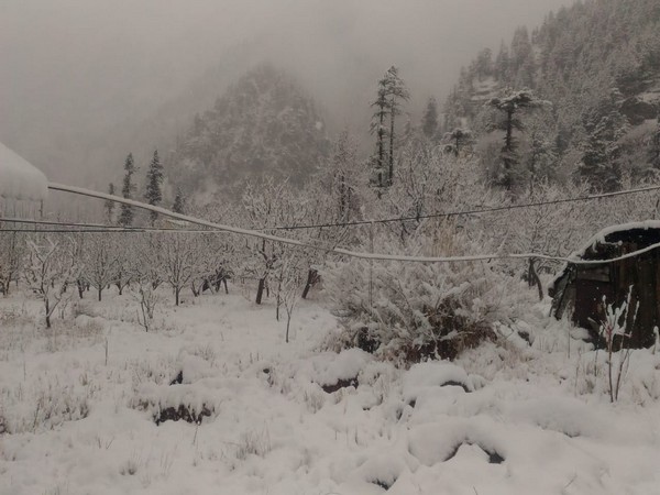 Heavy snowfall in Uttarkashi.