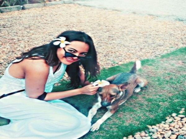 `Bruised` Sonakshi feels `battle scars` are meant to be worn with pride