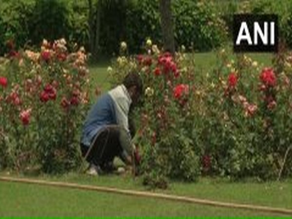 Restoration work begun at Mughal Garden in Srinagar. Photo/ANI