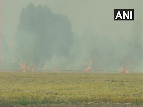 Farmers in Ludhiana continued to burn stubble on Thursday.