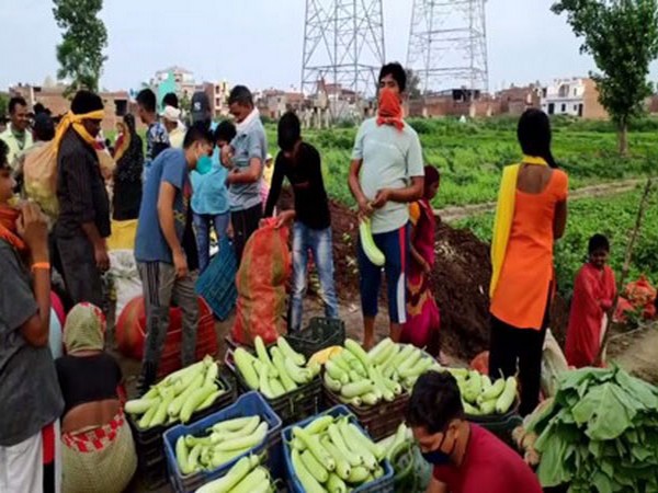 Visual from Suraj Nagar area in Moradabad
