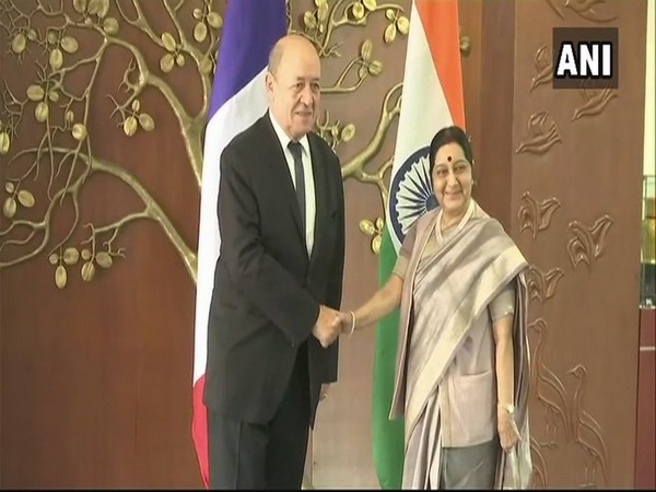 French Foreign Minister Le Drian and External Affairs Minister Sushma Swaraj in Delhi. (file photo)