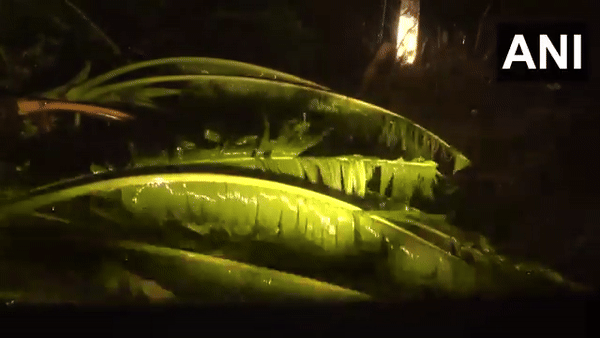 Visual from Bhadrak, Odisha (Photo/ANI)