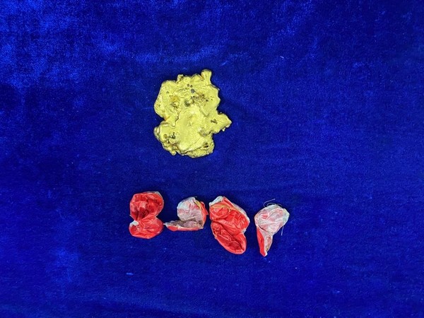 Recovered gold from 27-year-old man who arrived at Chennai airport from Sharjah, United Arab Emirates. (Photo/ANI)