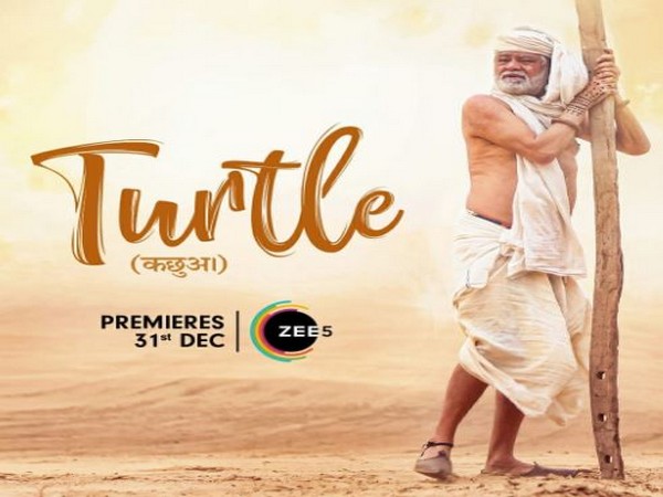 Poster of Sanjay Mishra's film Turtle (Image source: Instagram)