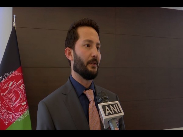 Afghan Charge d'Affaires to India Tahir Qadiry (File photo)