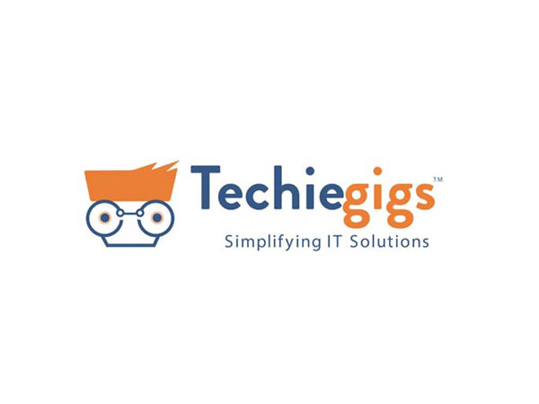 Techiegigs- Simplifying IT Solutions!