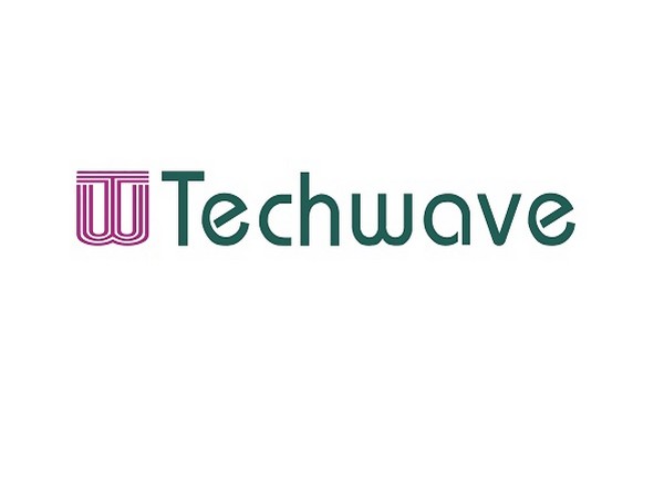 Techwave Consulting Inc logo