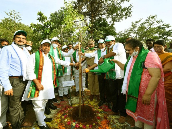 Hetero Pharma adopts 2,543 acres of Mambapur- Nallavelli Forest area in Telangana on Monday. Photo/ANI