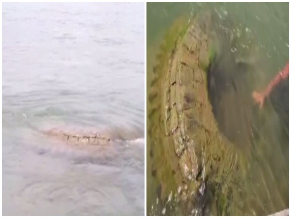 A 500-year-old temple, which had submerged in river Mahanadi long ago, found in Odisha's Nayagarh district (Photo/ANI)