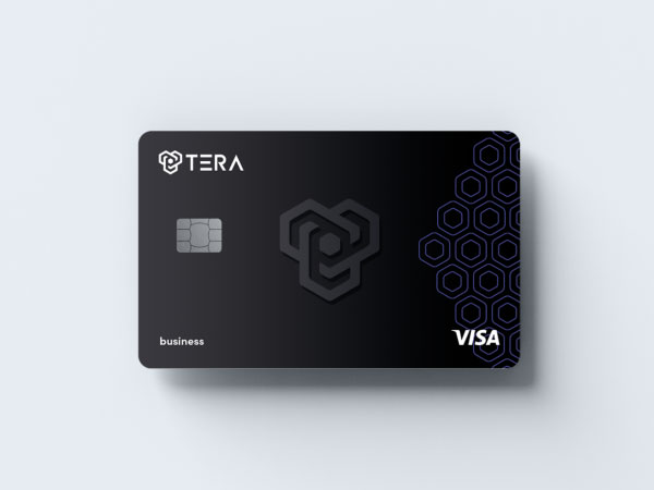 Tera announces the launch of a full-stack AI powered B2B Platform for finance automation