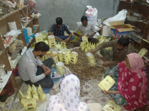 Visual of workshop held in Himachal Pradesh's Chamba (Photo/ANI)