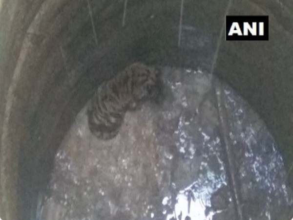 Tiger Shroff's 'Baaghi' is second most watched film of 2016