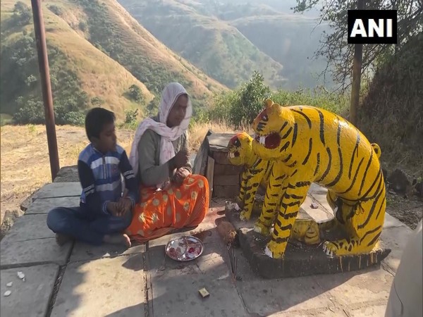 Tribal communities worship tiger as god in Nashik. (Photo/ ANI)