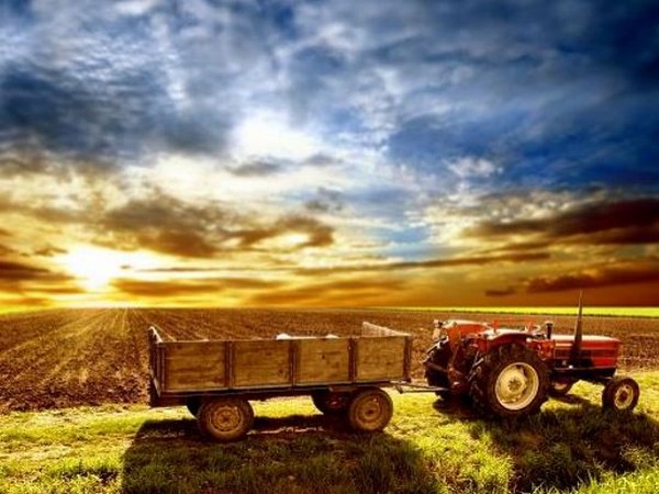 Healthy farm cash flows and monsoon progress have aided robust growth in tractor sales.