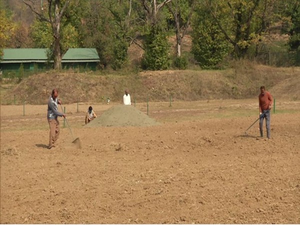 Gardeners prepare the Tulip Garden in Srinagar on Monday. (Photo/ANI)