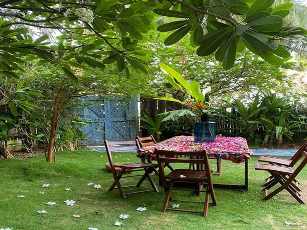A picture of Twinkle Khanna's garden (Image Source: Instagram)
