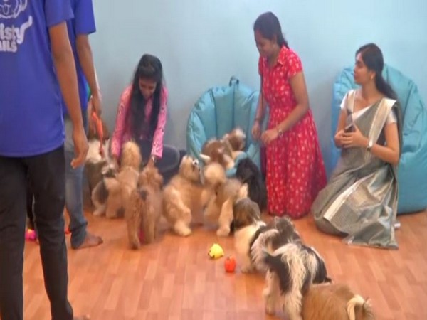 Customers playing with pets (Photo/ANI)