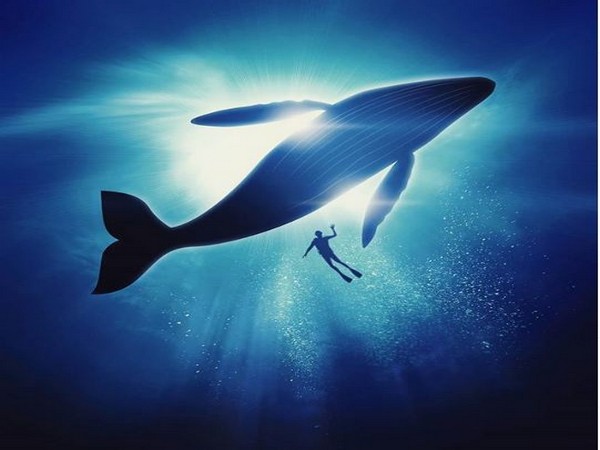 Image courtesy, Instagram