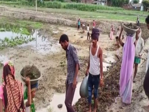 Migrant labourers provided work under MNREGA scheme in Uttar Pradesh. Photo/ANI