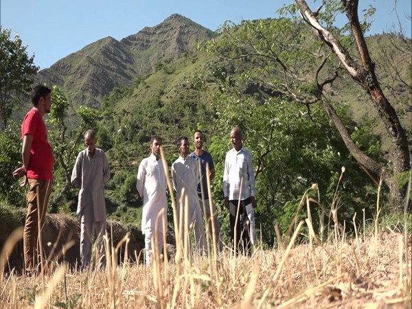 Visuals of farmers in Udhampur, Jammu and Kashmir.