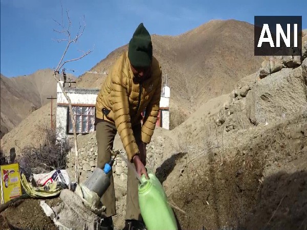 Villager fills water from tap in Umla village in Ladakh (Photo/ANI)