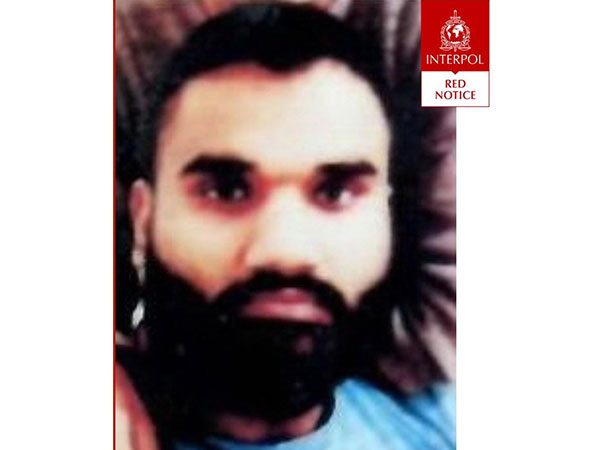 Gangster Goldy Brar. (Photo/ANI)