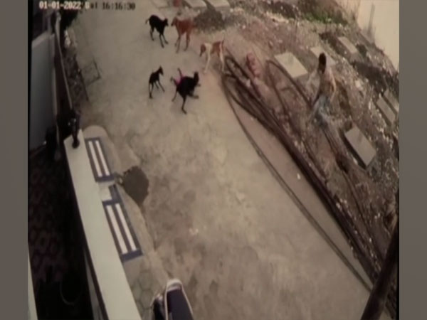 Visul from the CCTV footage (Photo/ANI) 