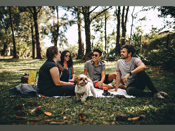 Representative image