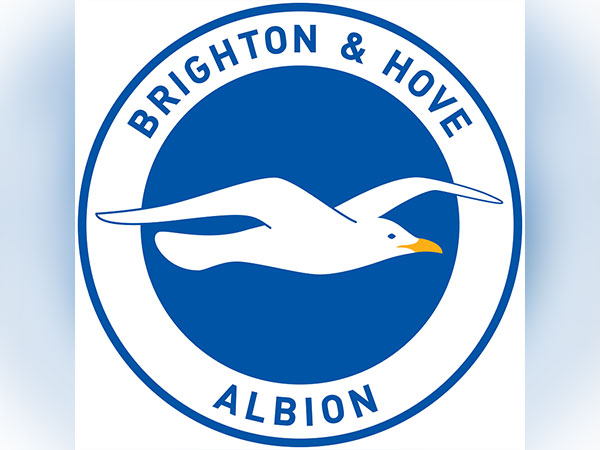 Brighton and Hove Albion logo
