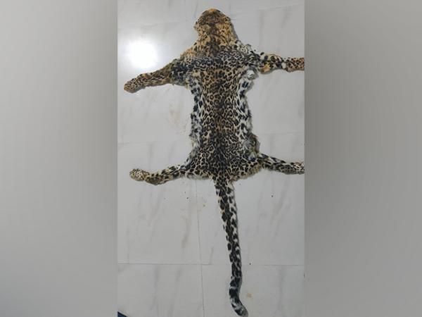 Leopard Skin, Photo Credit: ANI