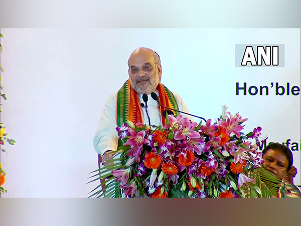 Union Home Minister Amit Shah (File Photo/ANI)